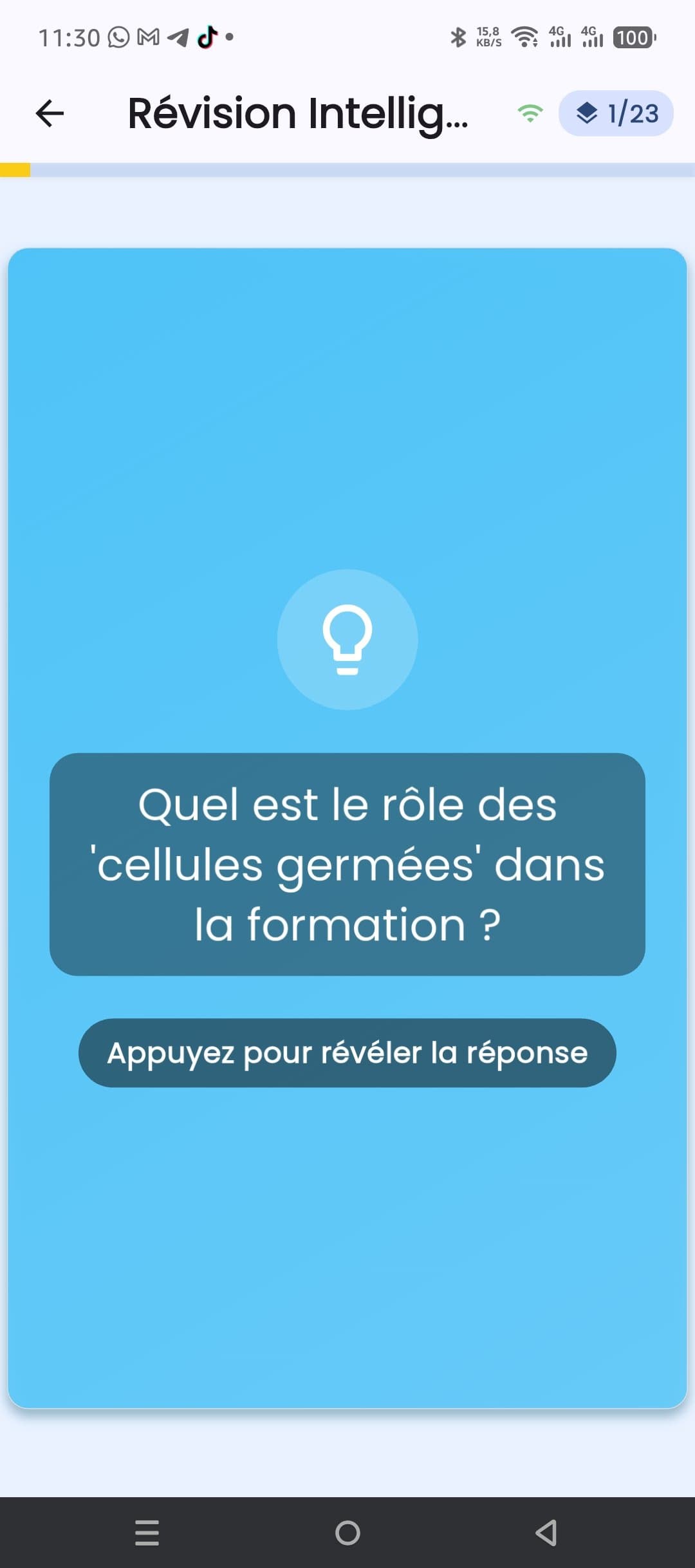 Fiches de révision